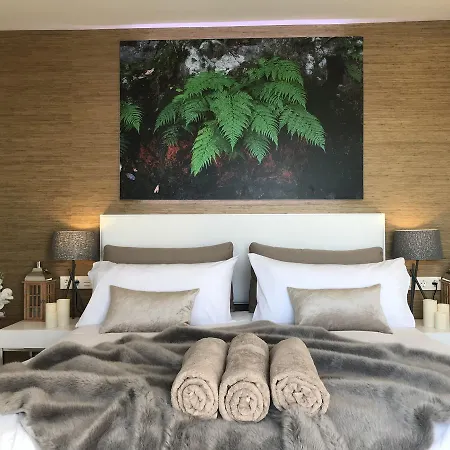 Luxury - Oasis Tucan ***** Willa *