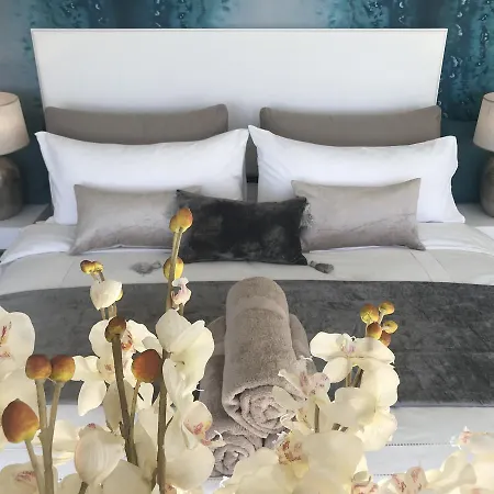 Luxury - Oasis Tucan ***** Willa *